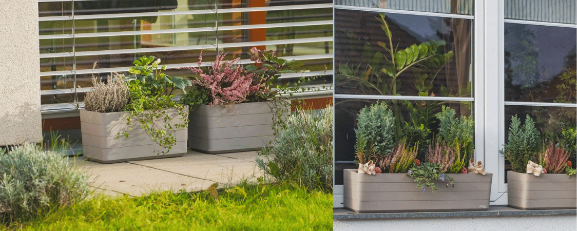 Jak vybrat správný truhlík